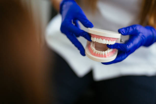 Best Full Mouth Reconstruction  in South Pekin, IL